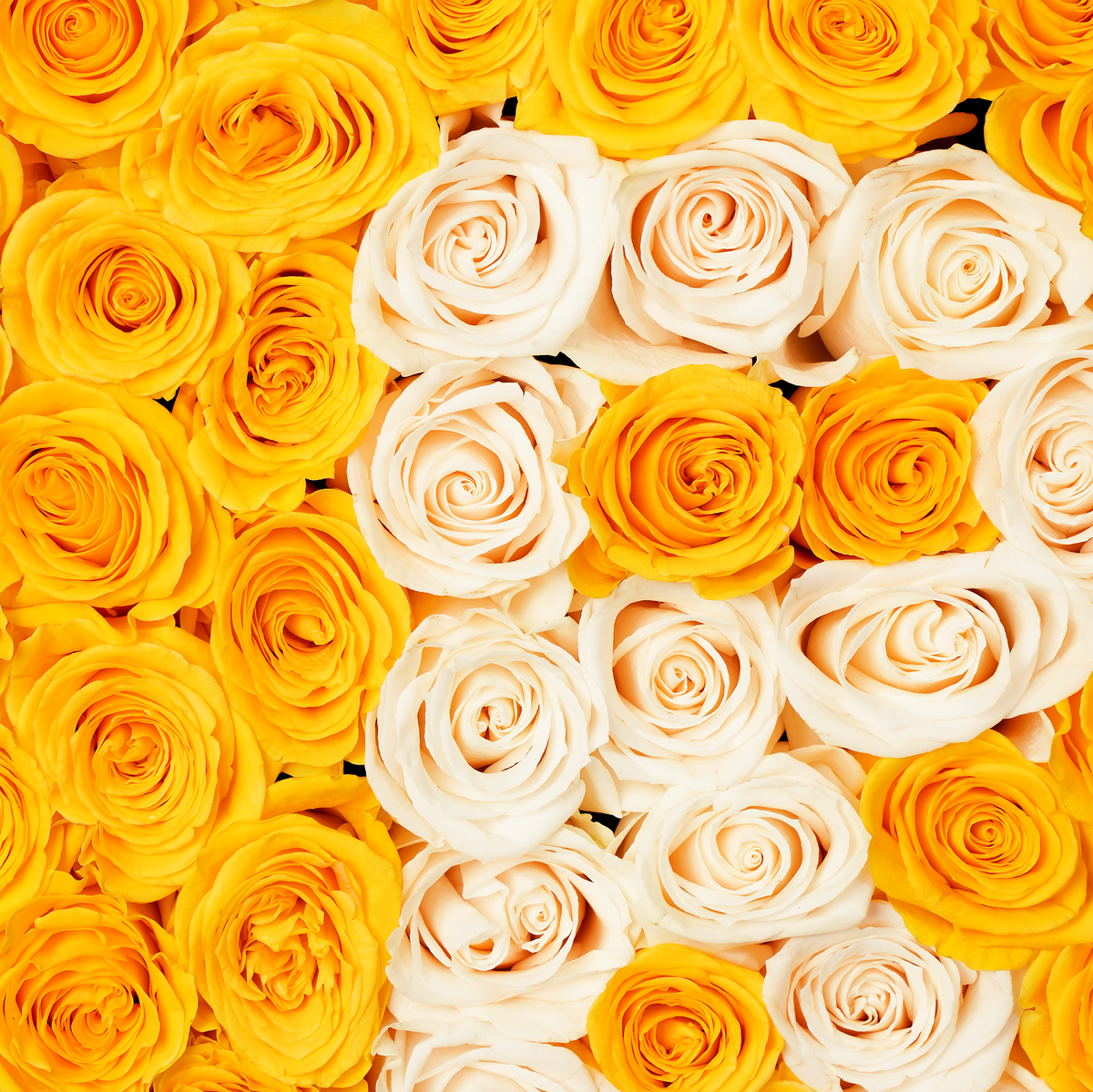 Yellow Letter Heart