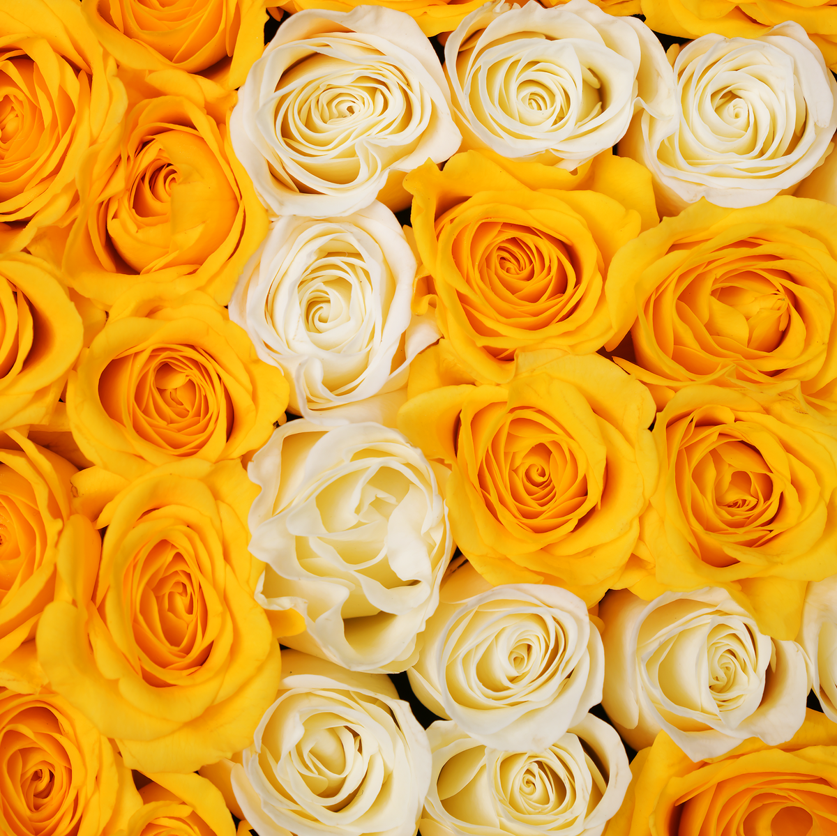 Yellow Letter Heart