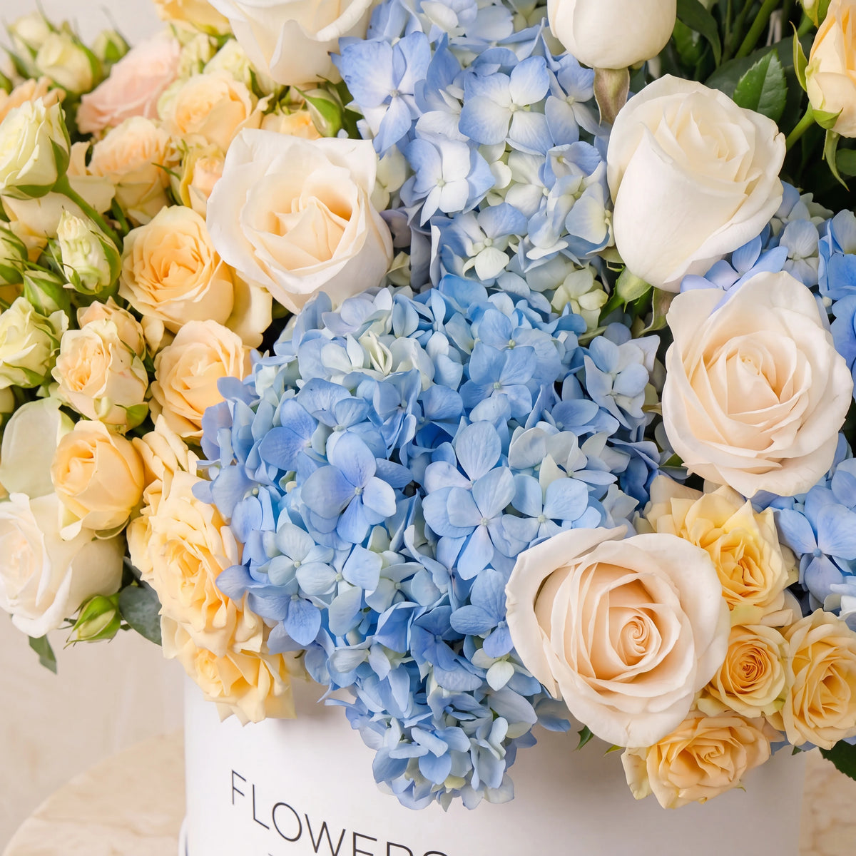 Florence Pastel Hatbox