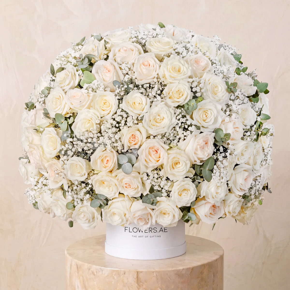 Bianca Hatbox
