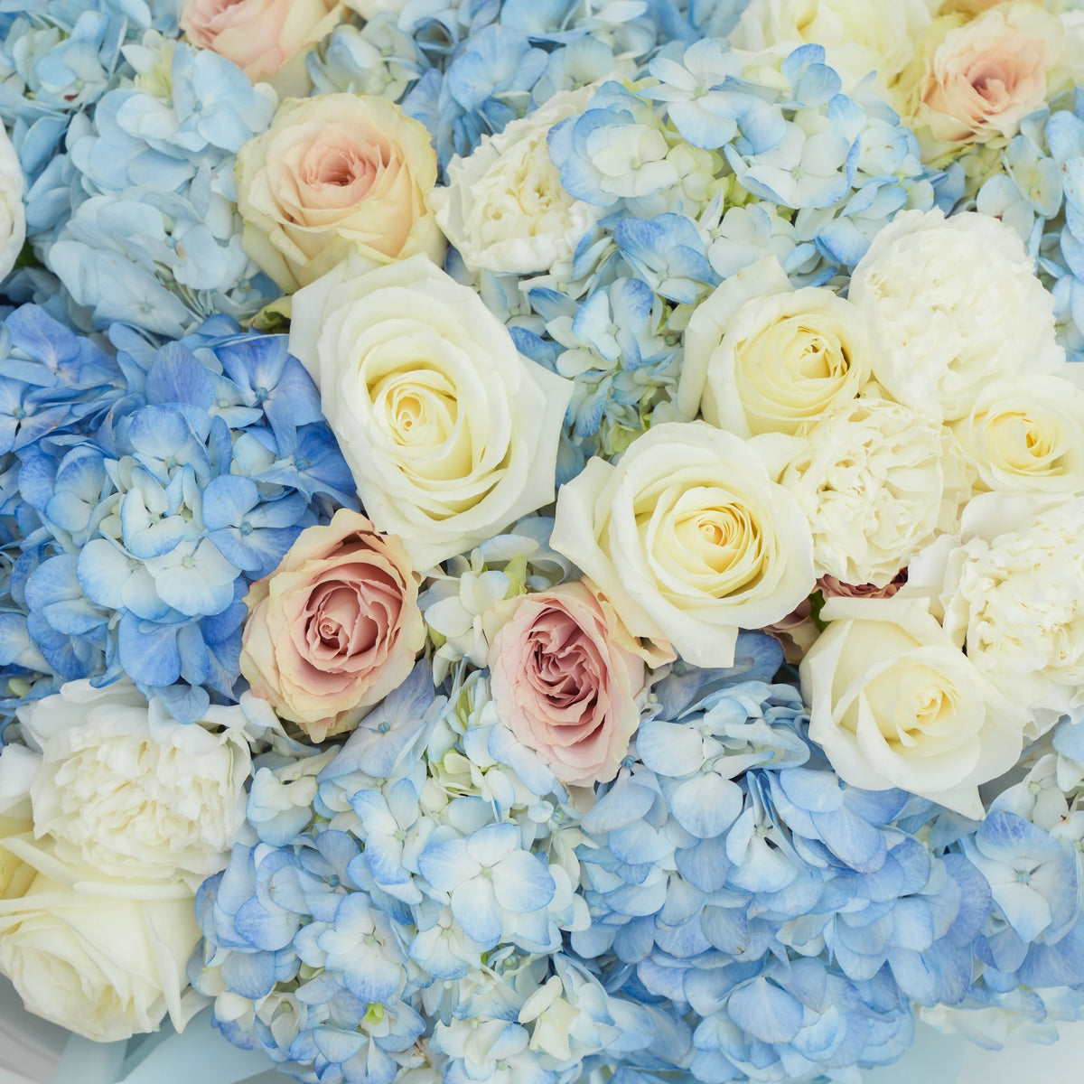 Light Blue Hydrangea with Roses