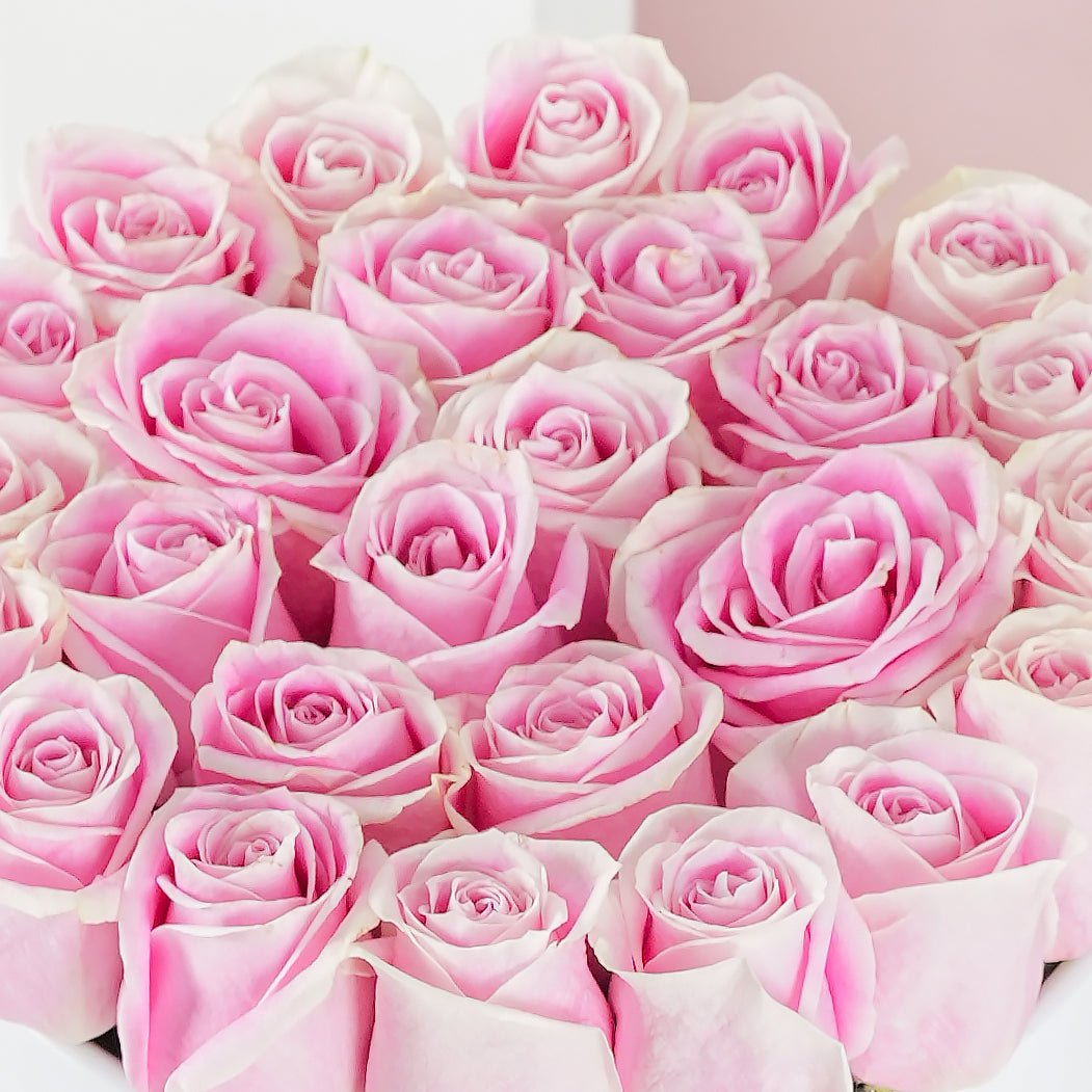 Pink Roses - Hatbox