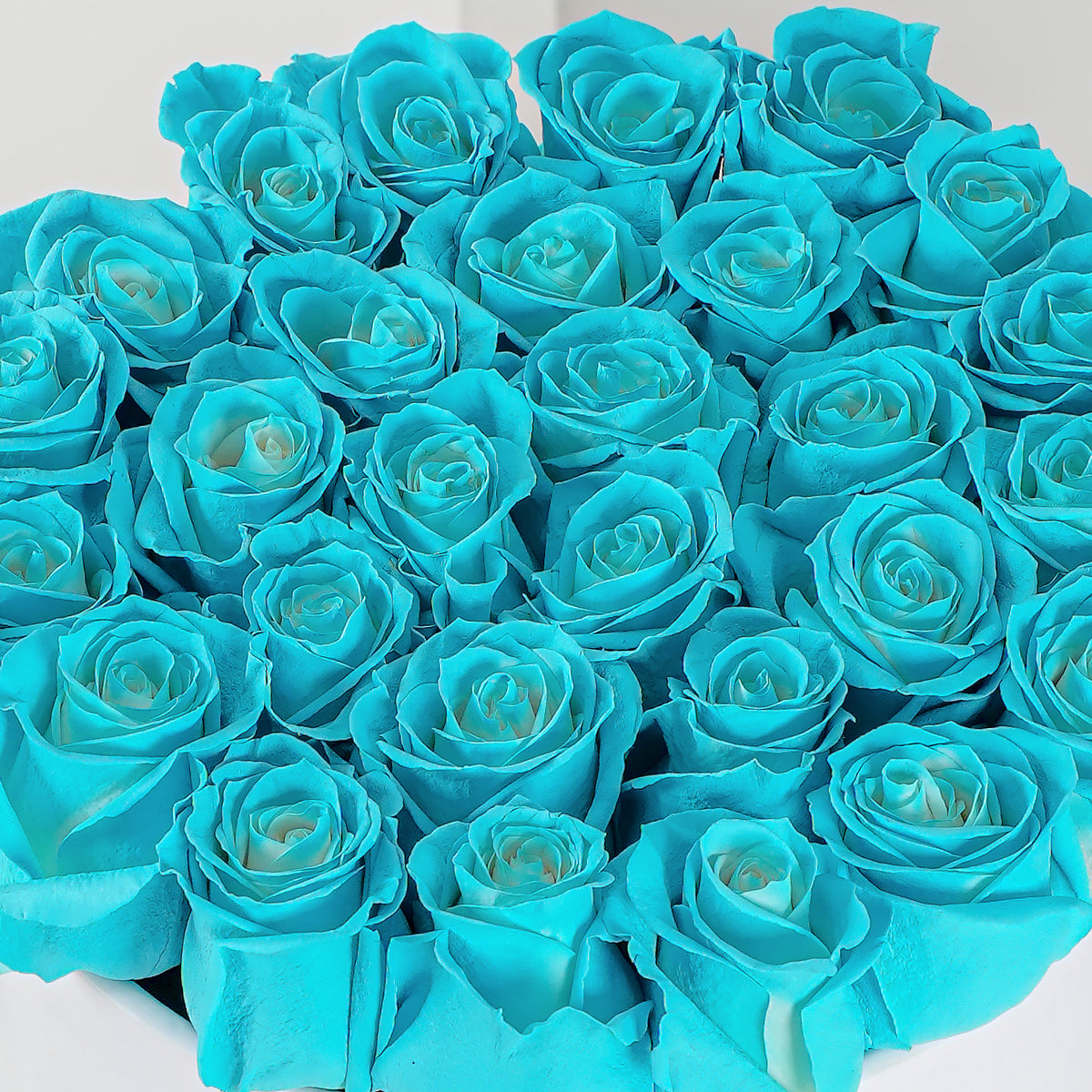 Tiffany Blue Roses - Hatbox