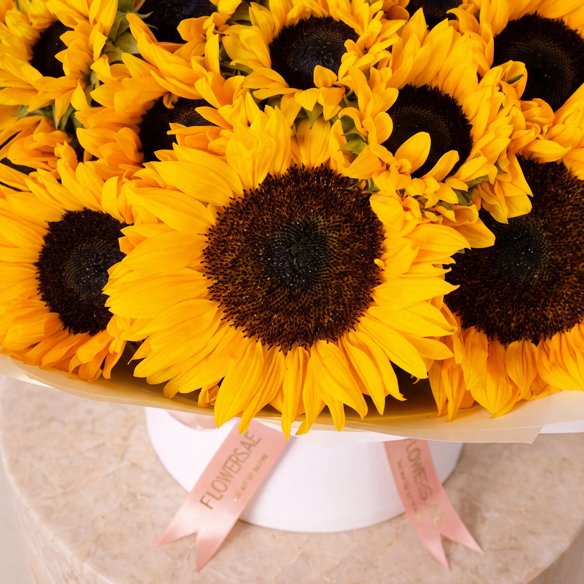 50 Sunflowers