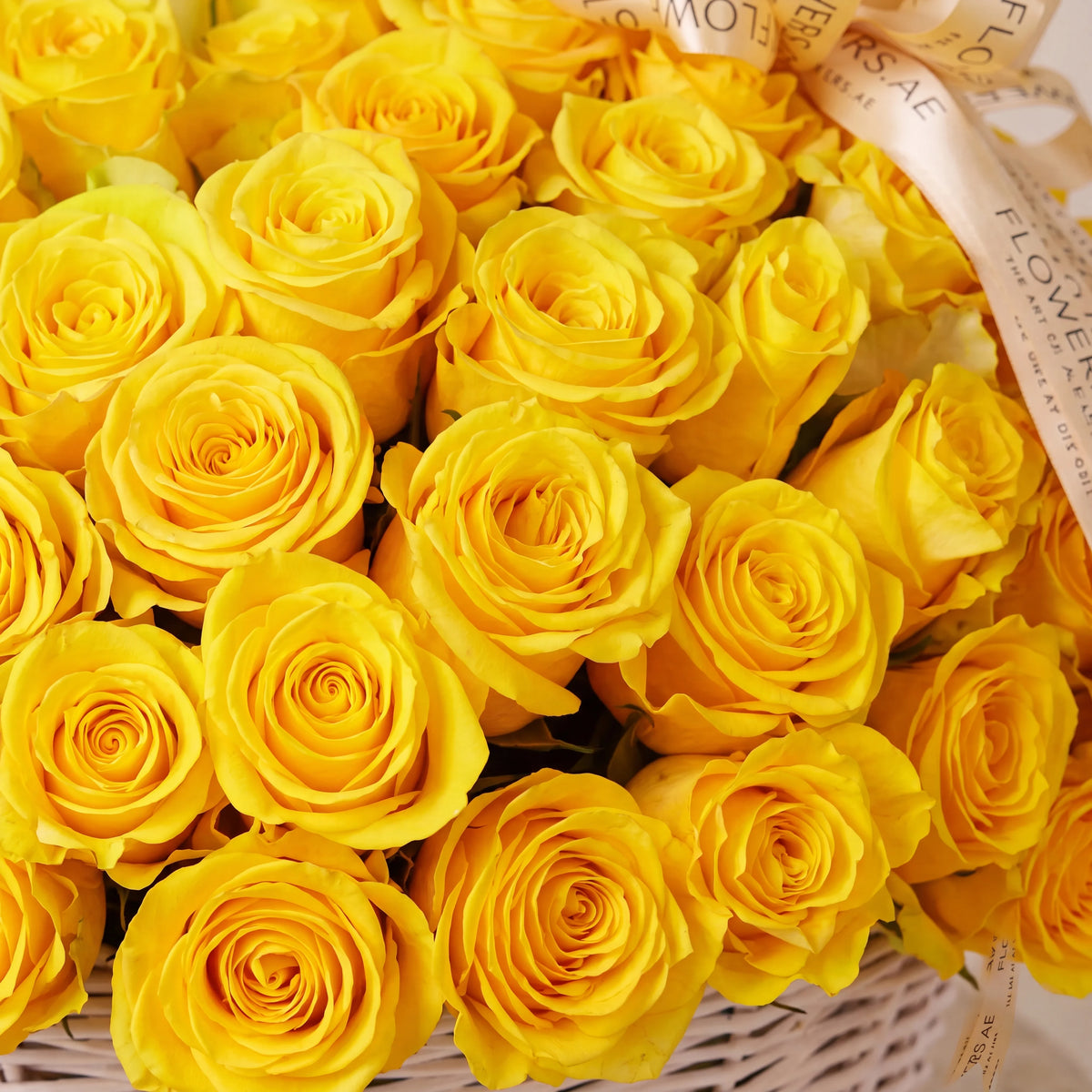 365 Yellow Roses Basket