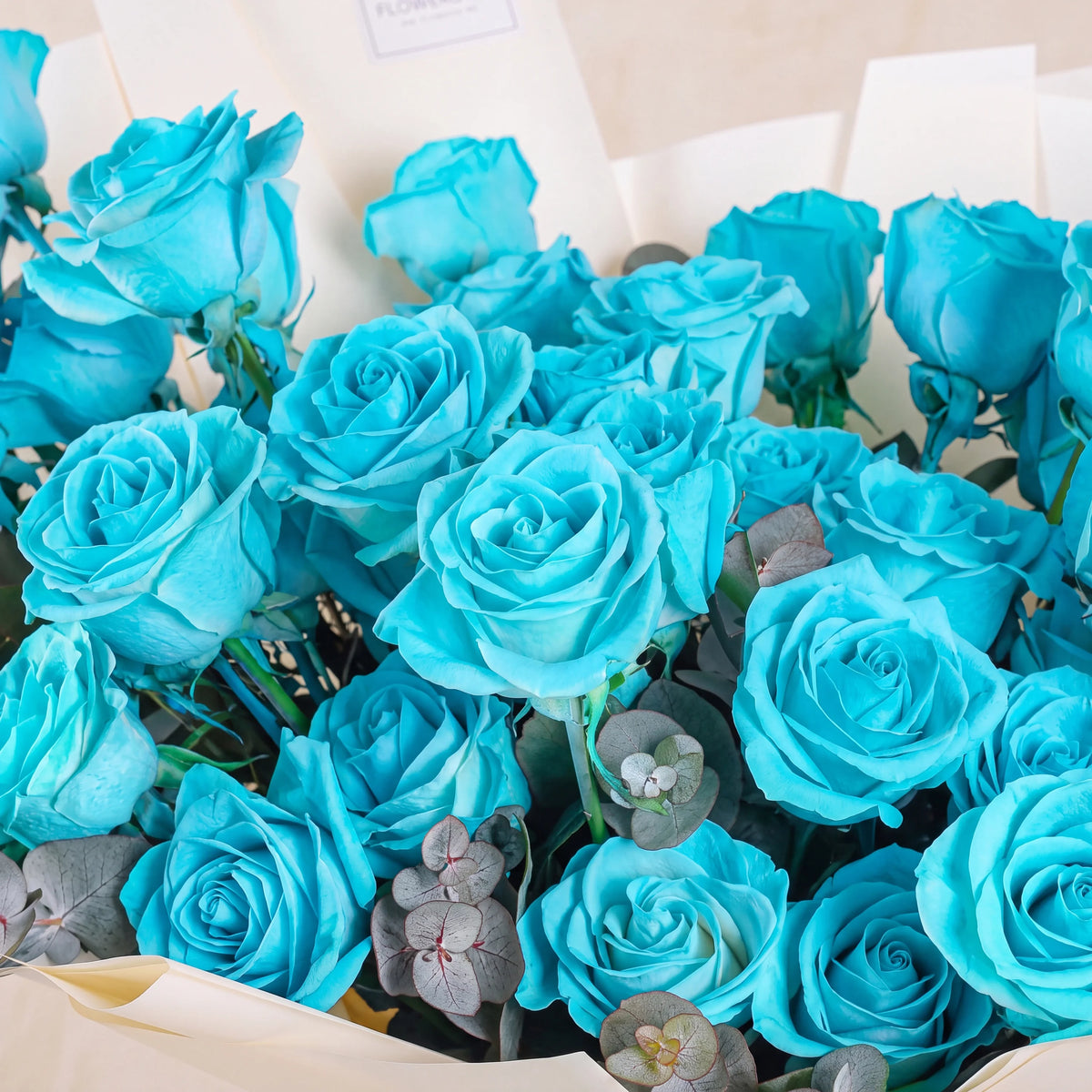 200 Tiffany Blue Roses