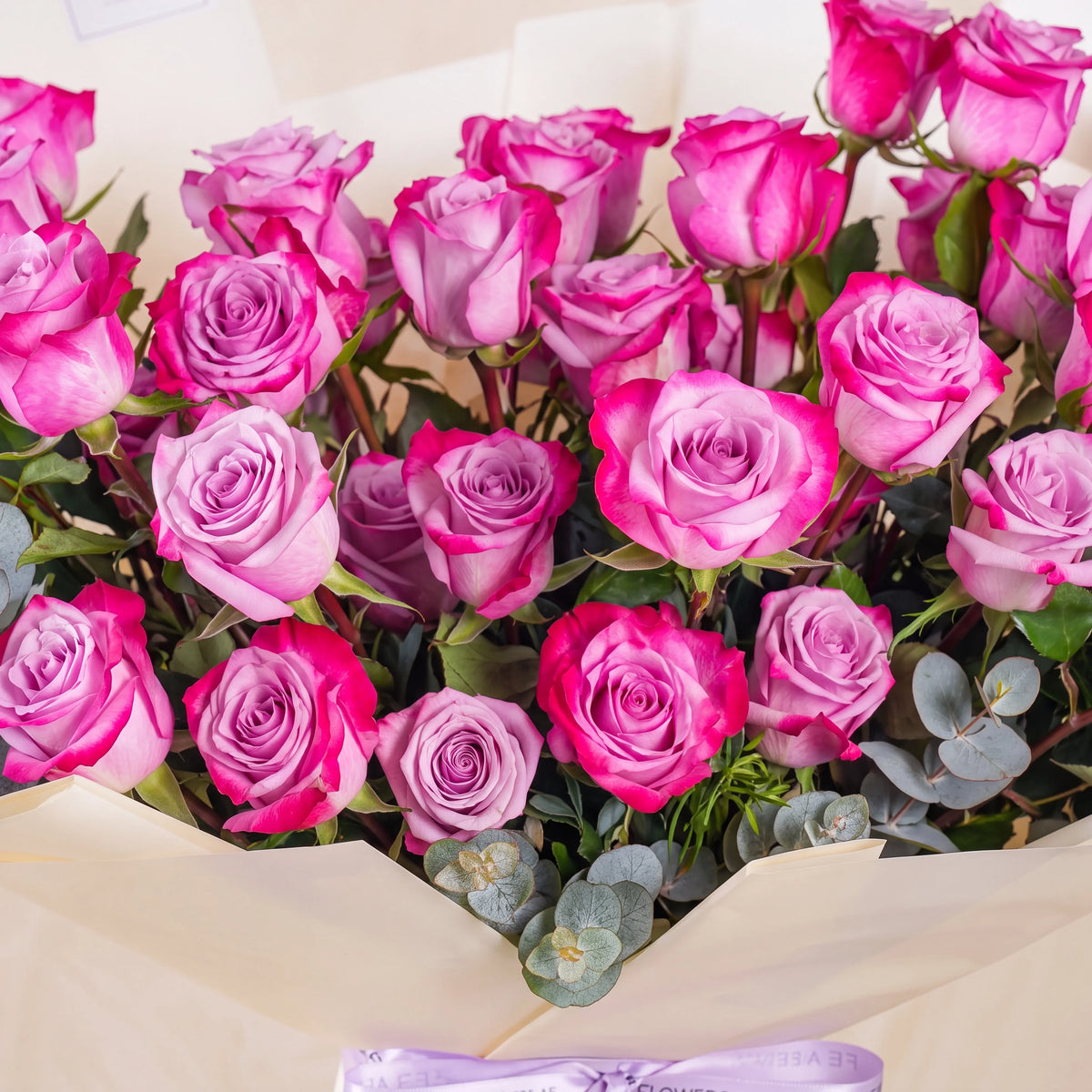 50 Purple Roses