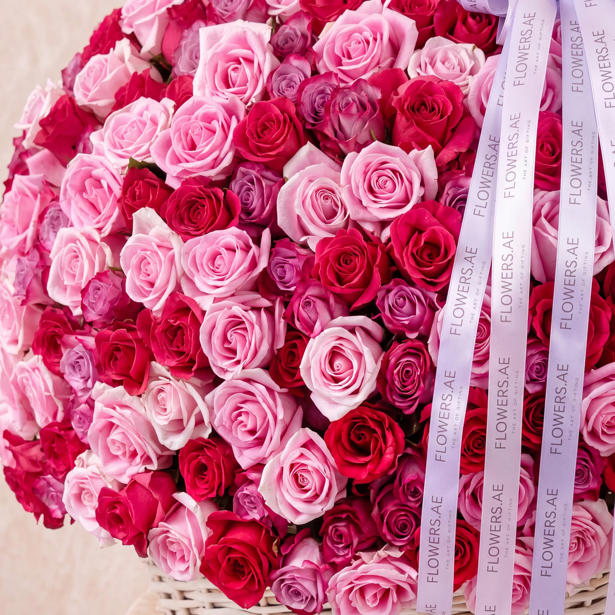 500 Blush Roses Basket