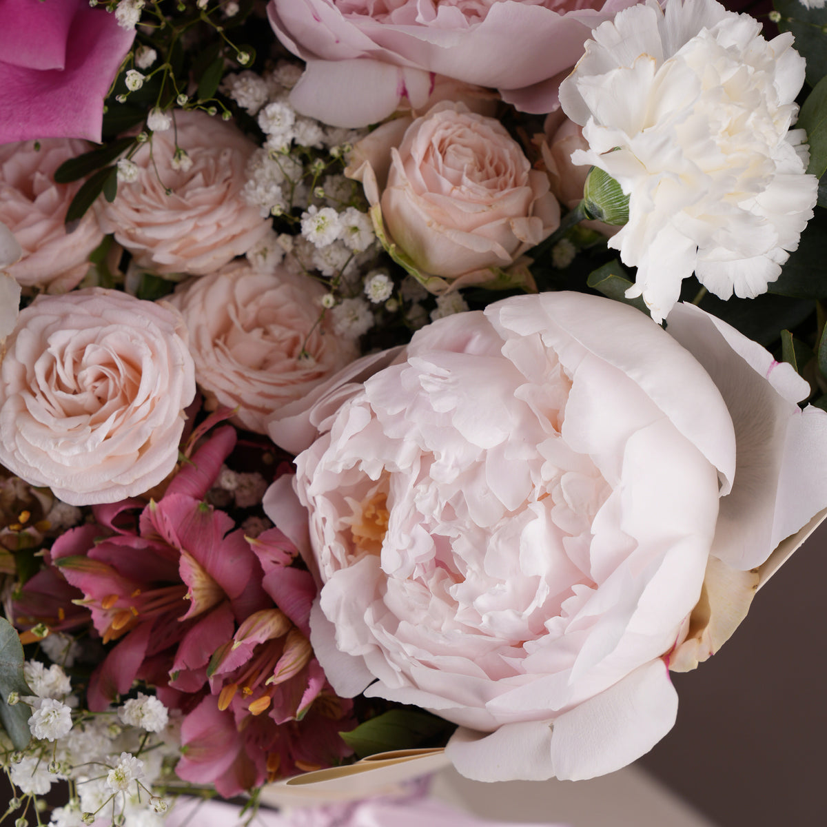 Pastel Peony