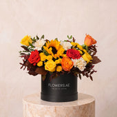 Petite Harvest Glow Hatbox