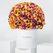 Get Well Royale Clara Hatbox