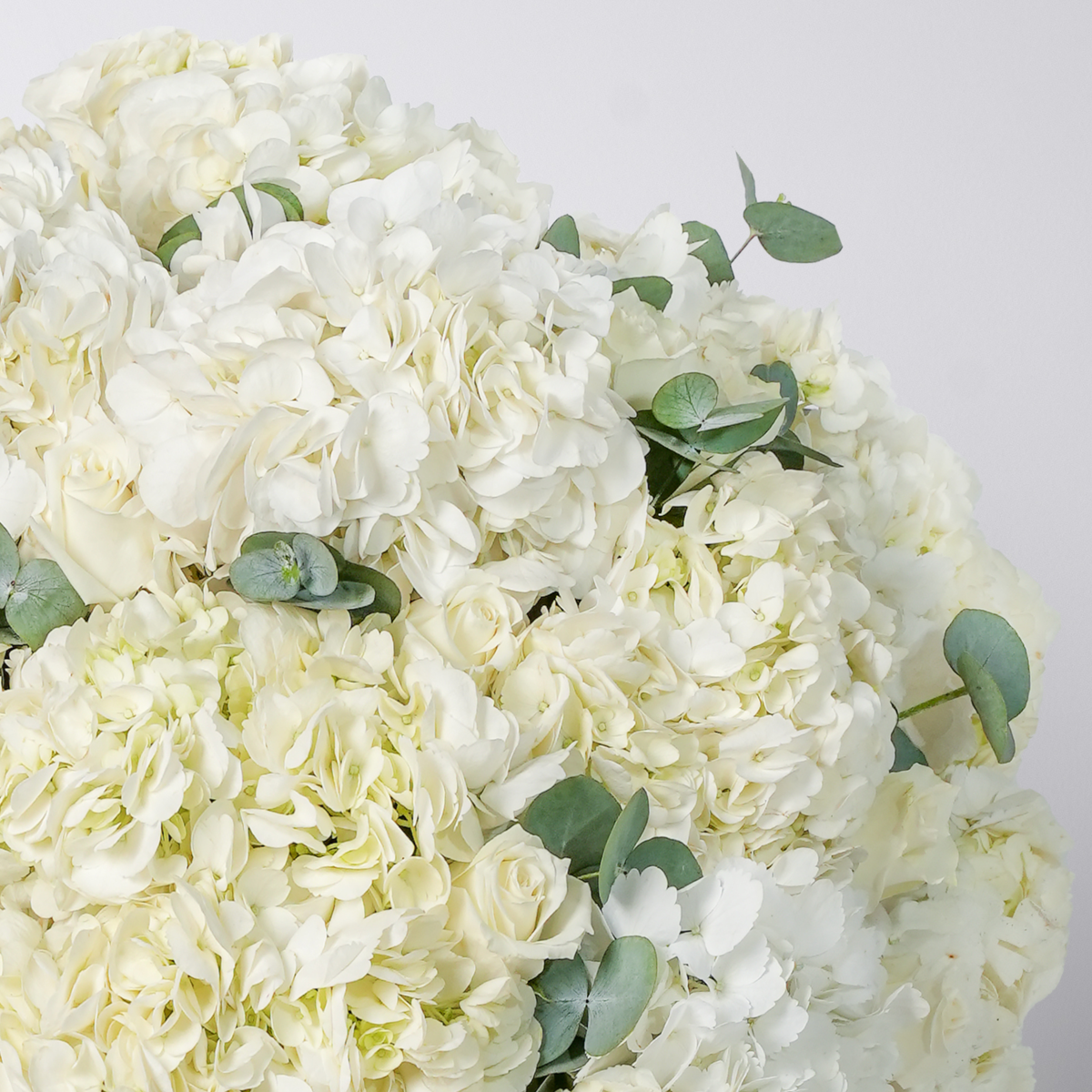 Baby Heavenly Whites Hatbox