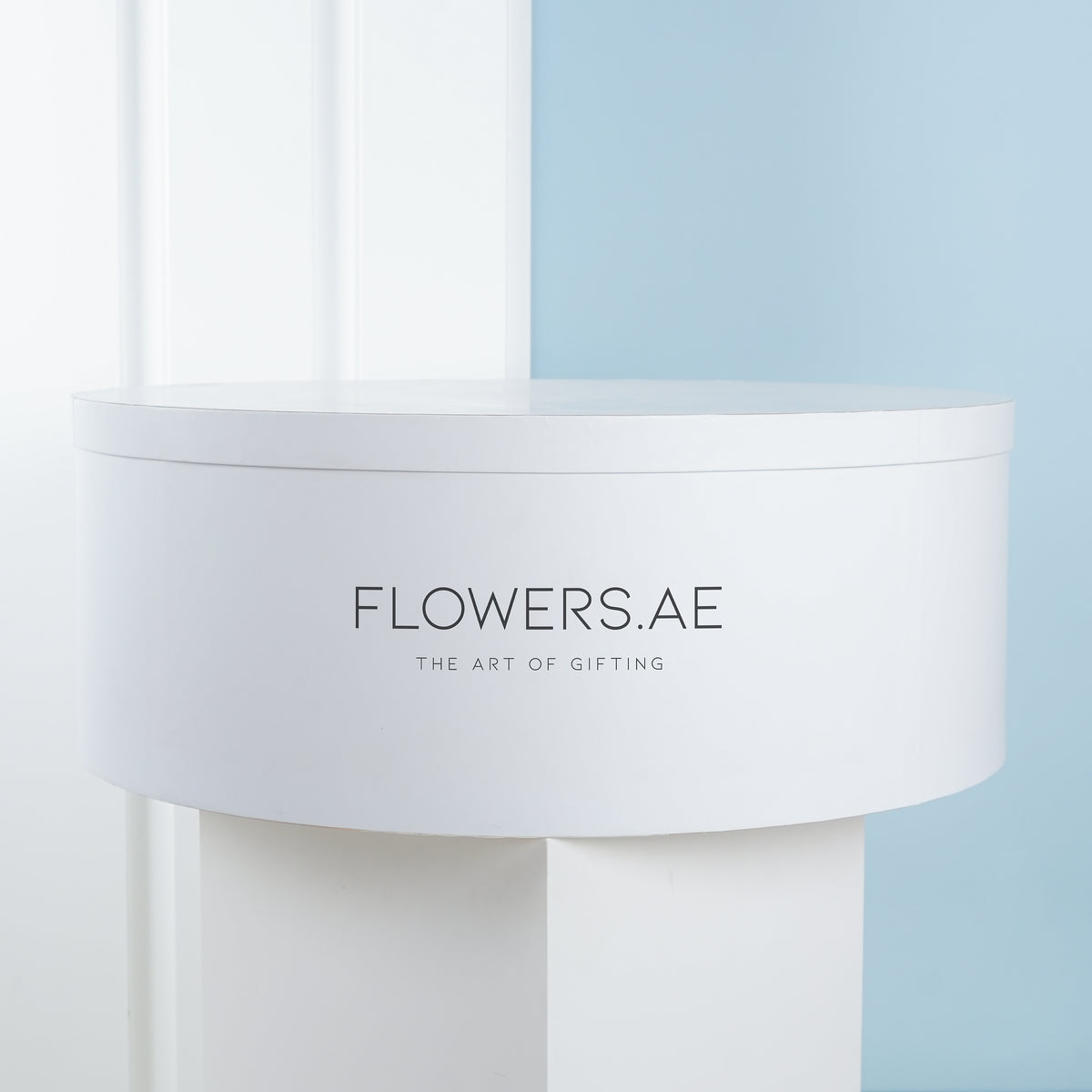 XXXL Hatbox Colour