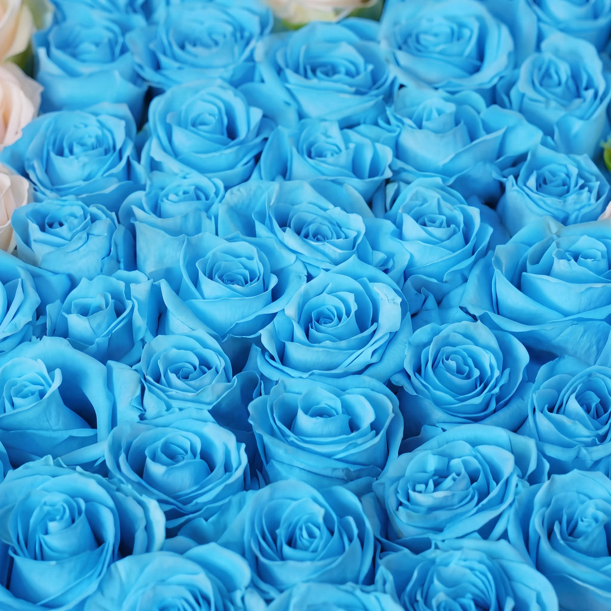 Anniversary Tiffany Blue Heart