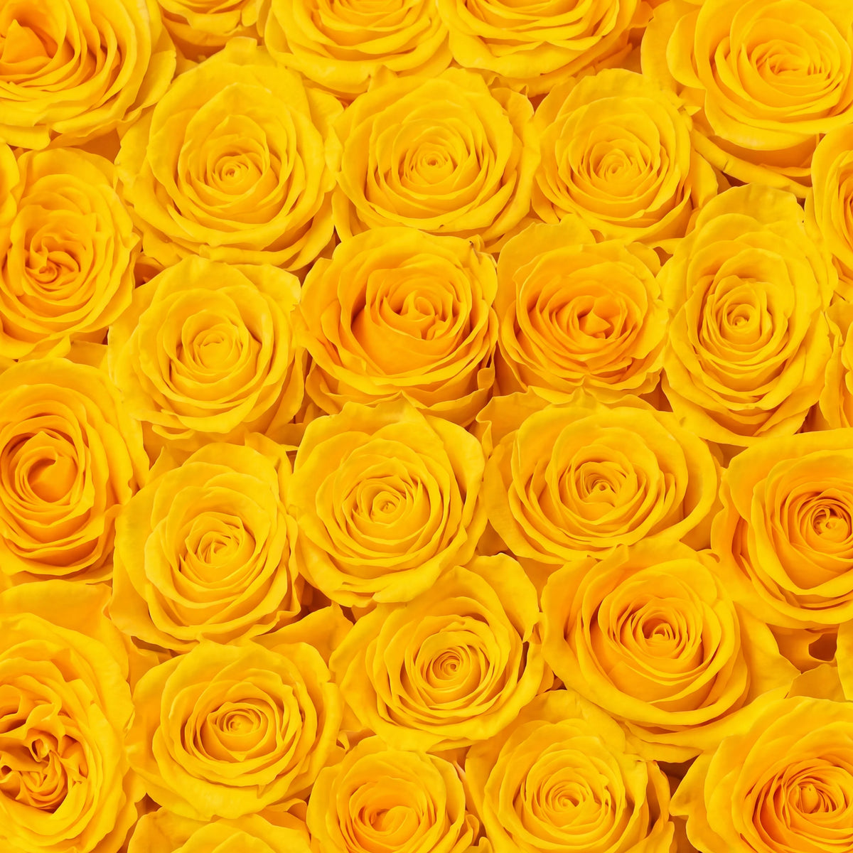 Yellow Heart